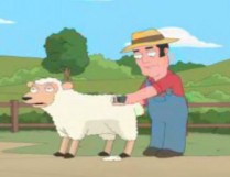 shear-me shear-me